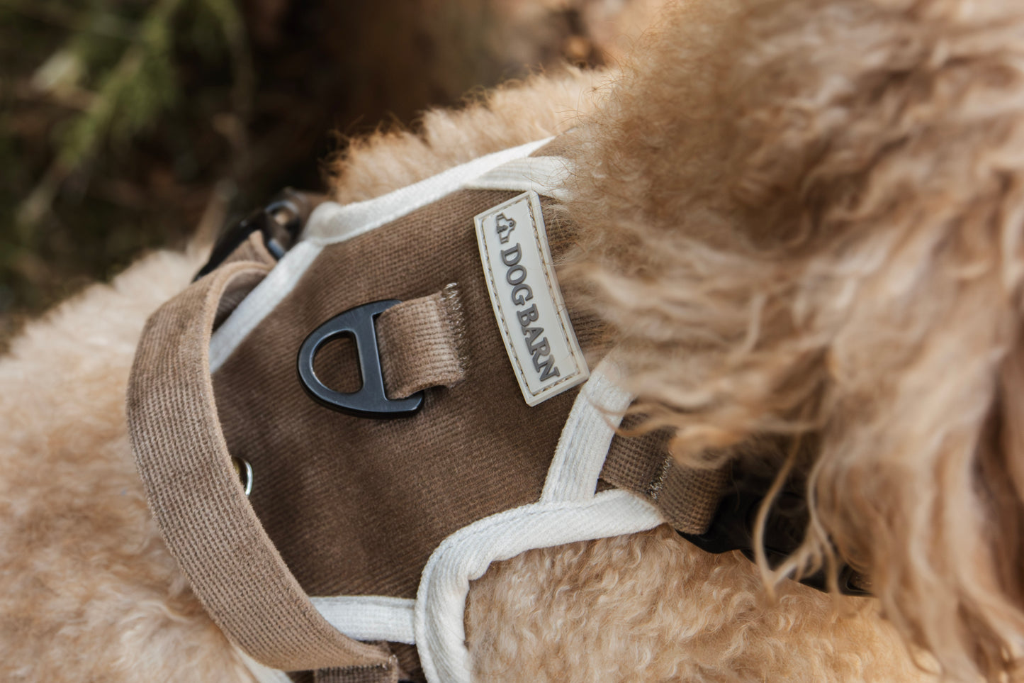 Chestnut Trail Adventurer Bundle