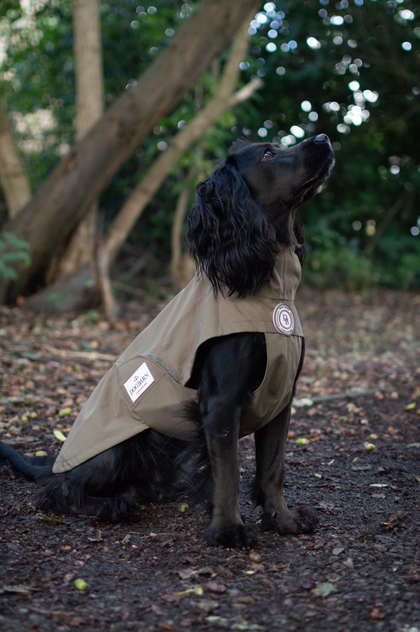 Chestnut Trail Rain Jacket