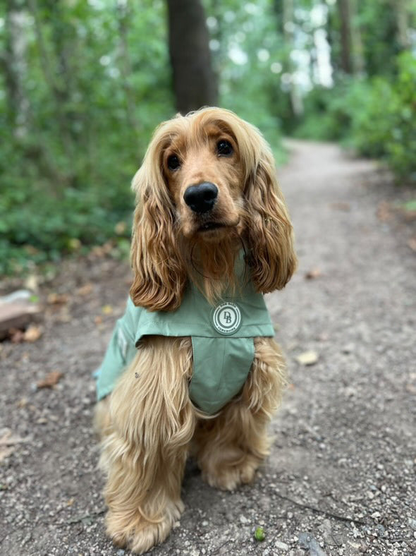 Sage Glade Rain Jacket