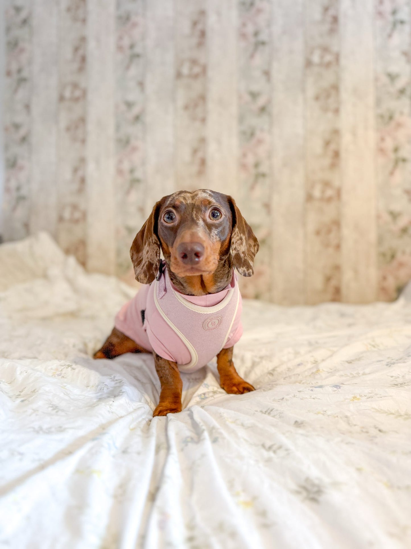 Blush Petal Tweed Harness