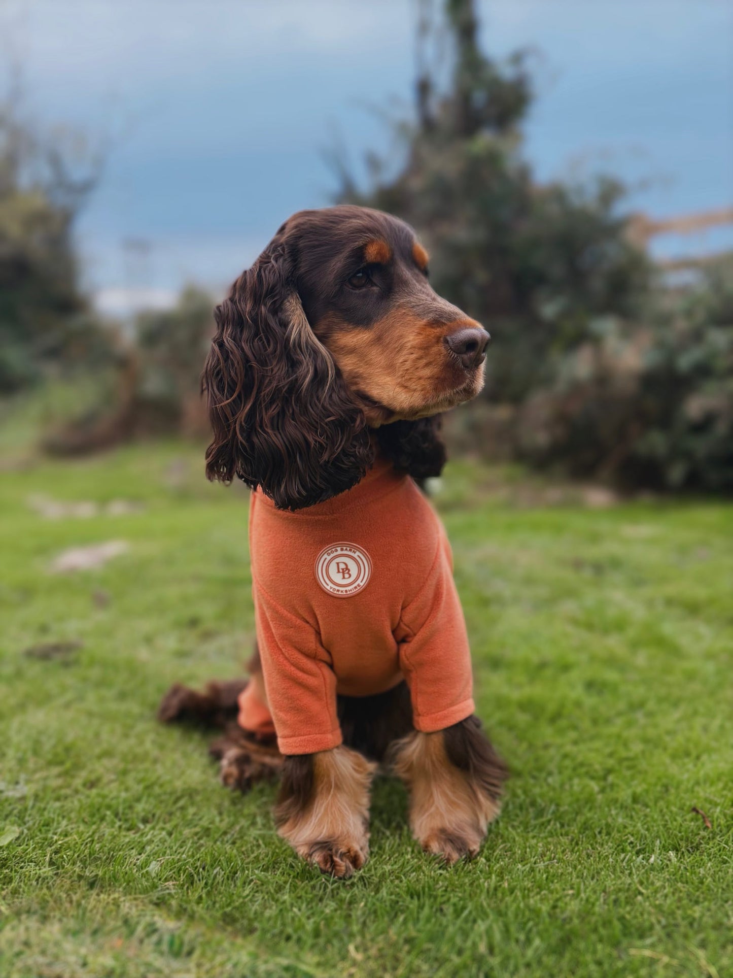 Pumpkin Spice Fleece Suit