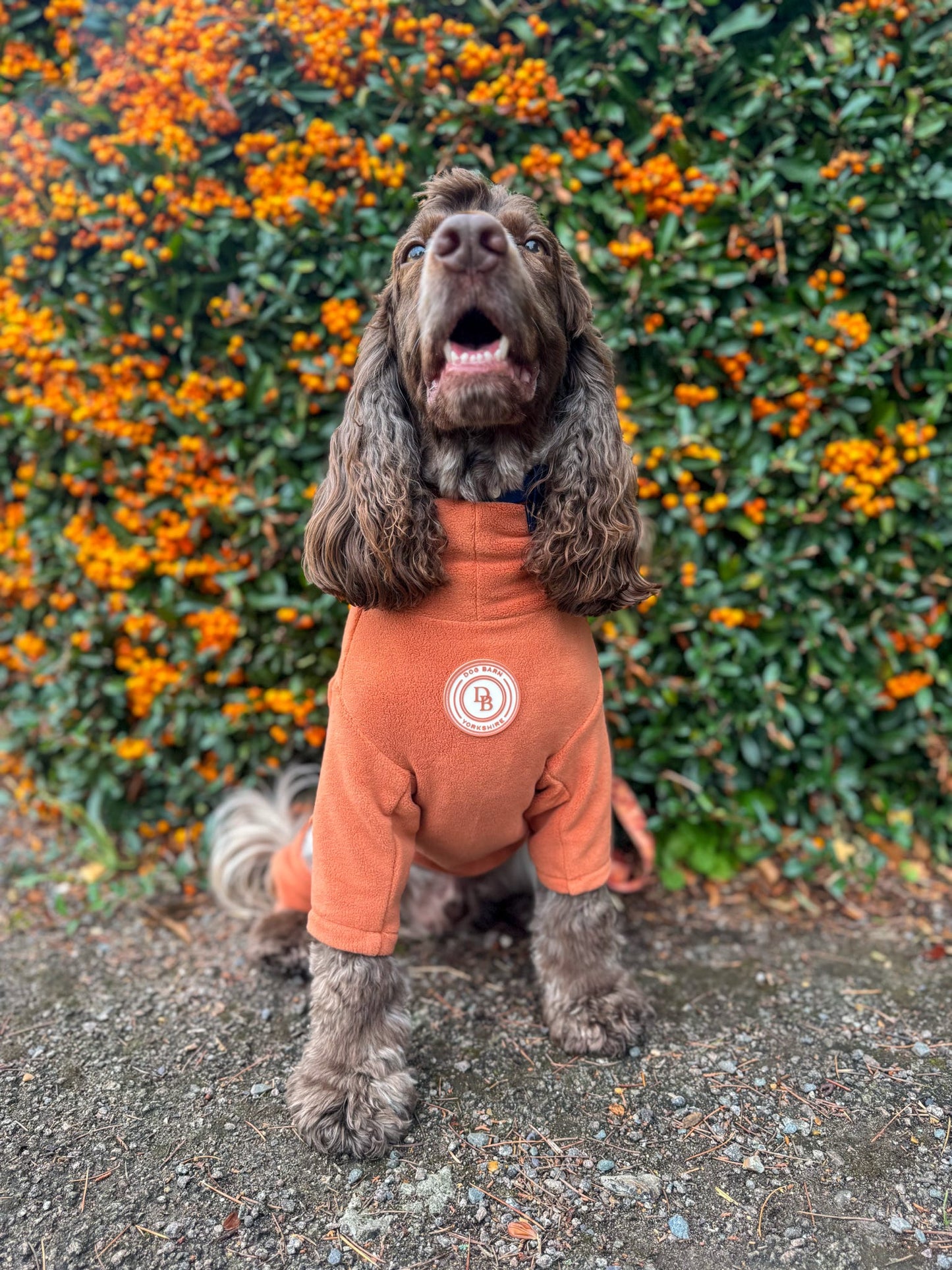 Pumpkin Spice Fleece Suit