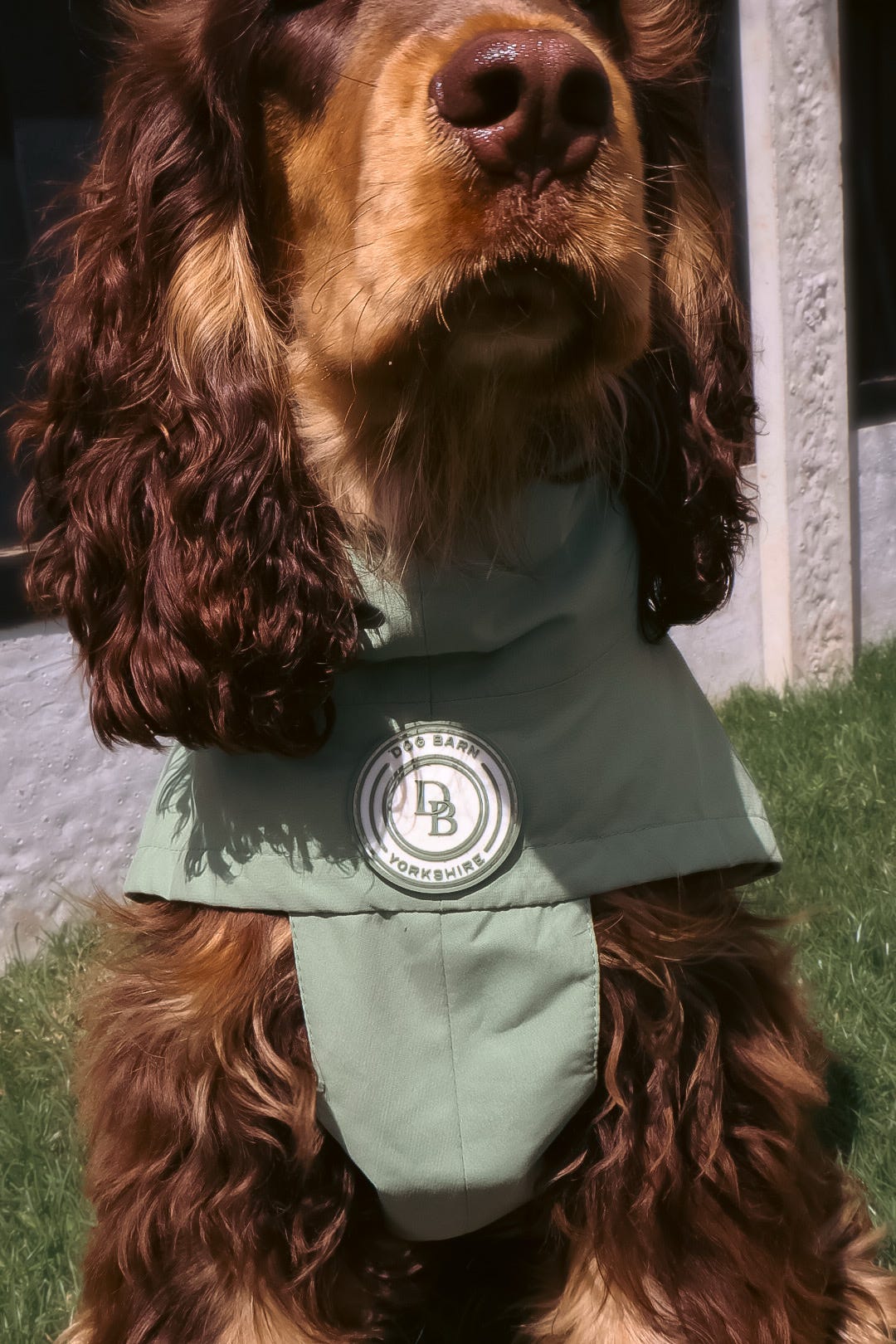 Sage Glade Rain Jacket