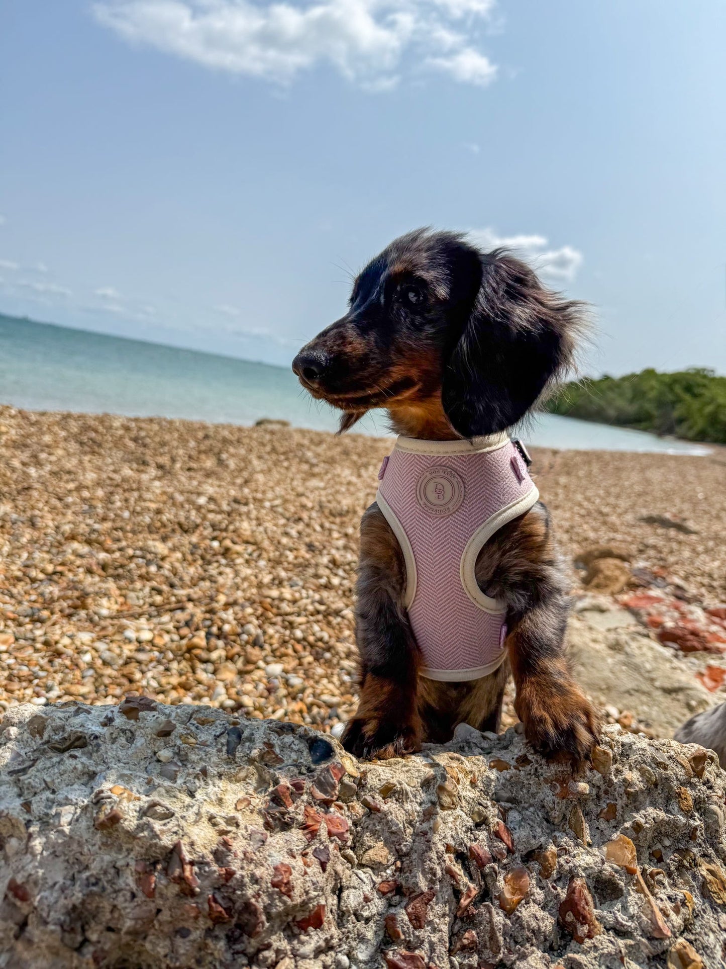 Blush Petal Tweed Harness