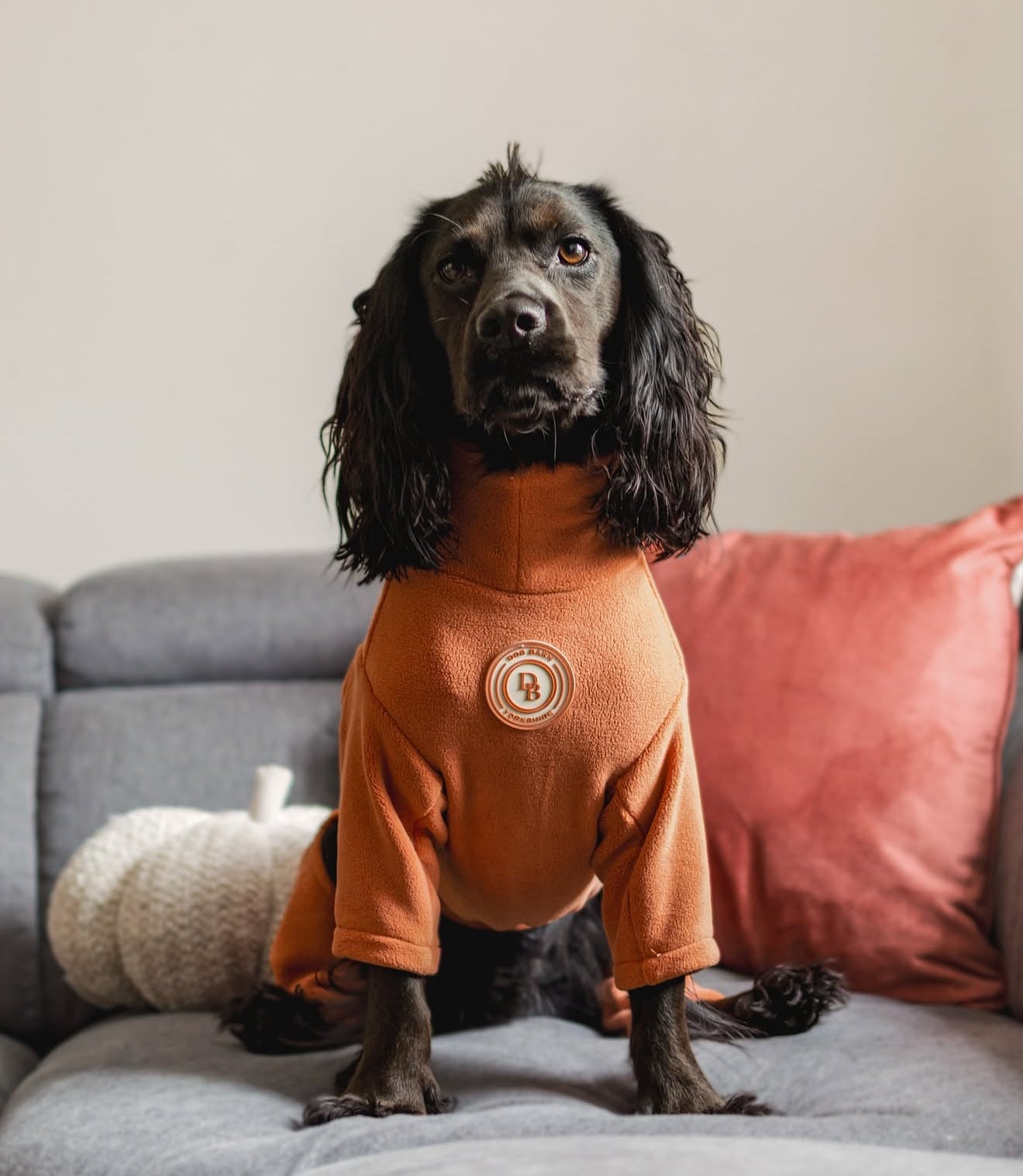 Pumpkin Spice Fleece Suit