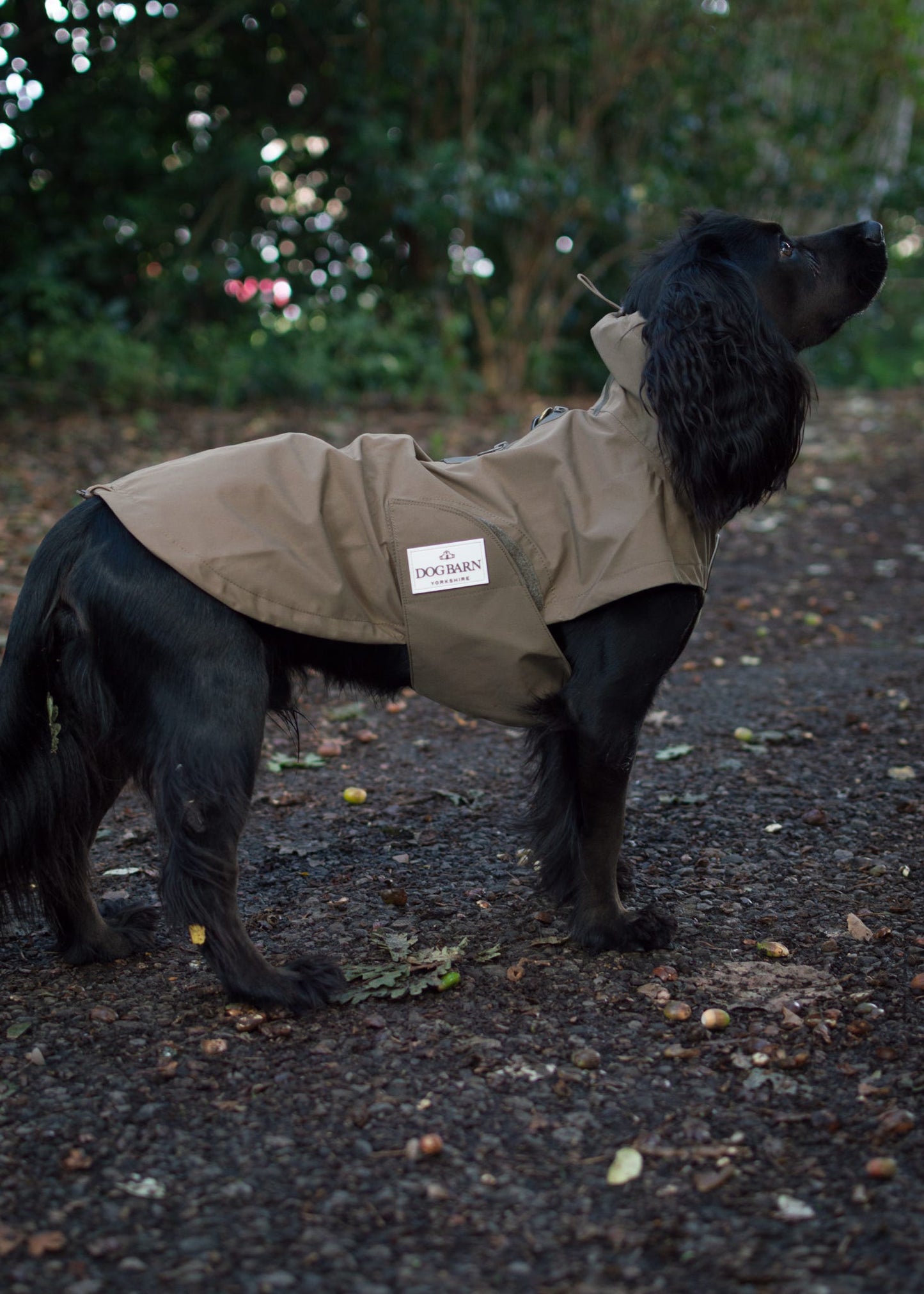 Chestnut Trail Rain Jacket