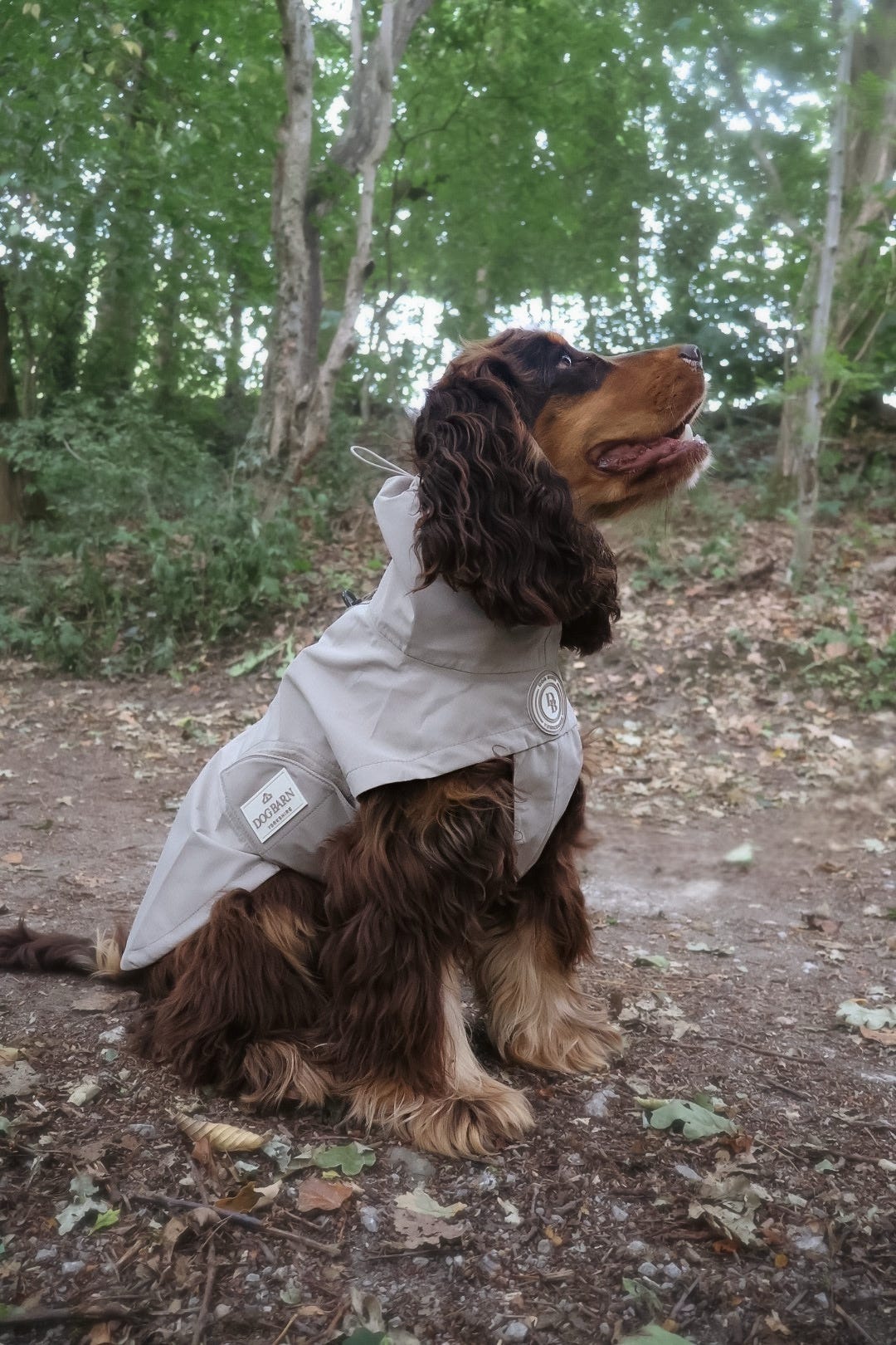 Truffle Dusk Rain Jacket