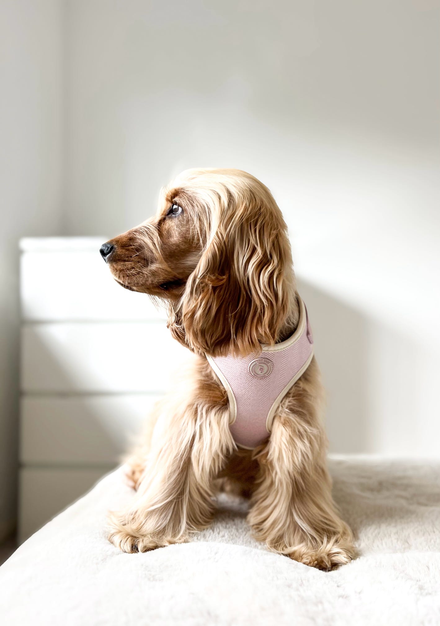 Blush Petal Tweed Harness
