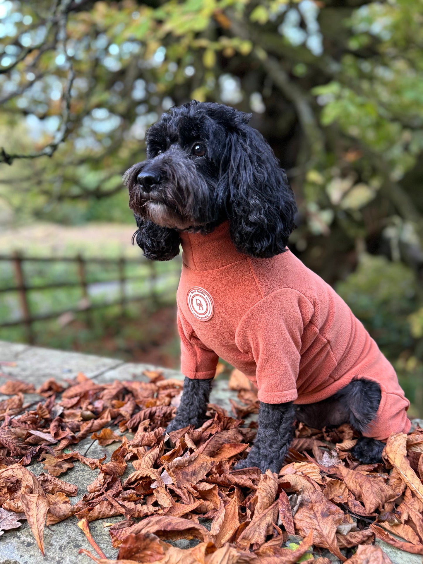 Pumpkin Spice Fleece Suit