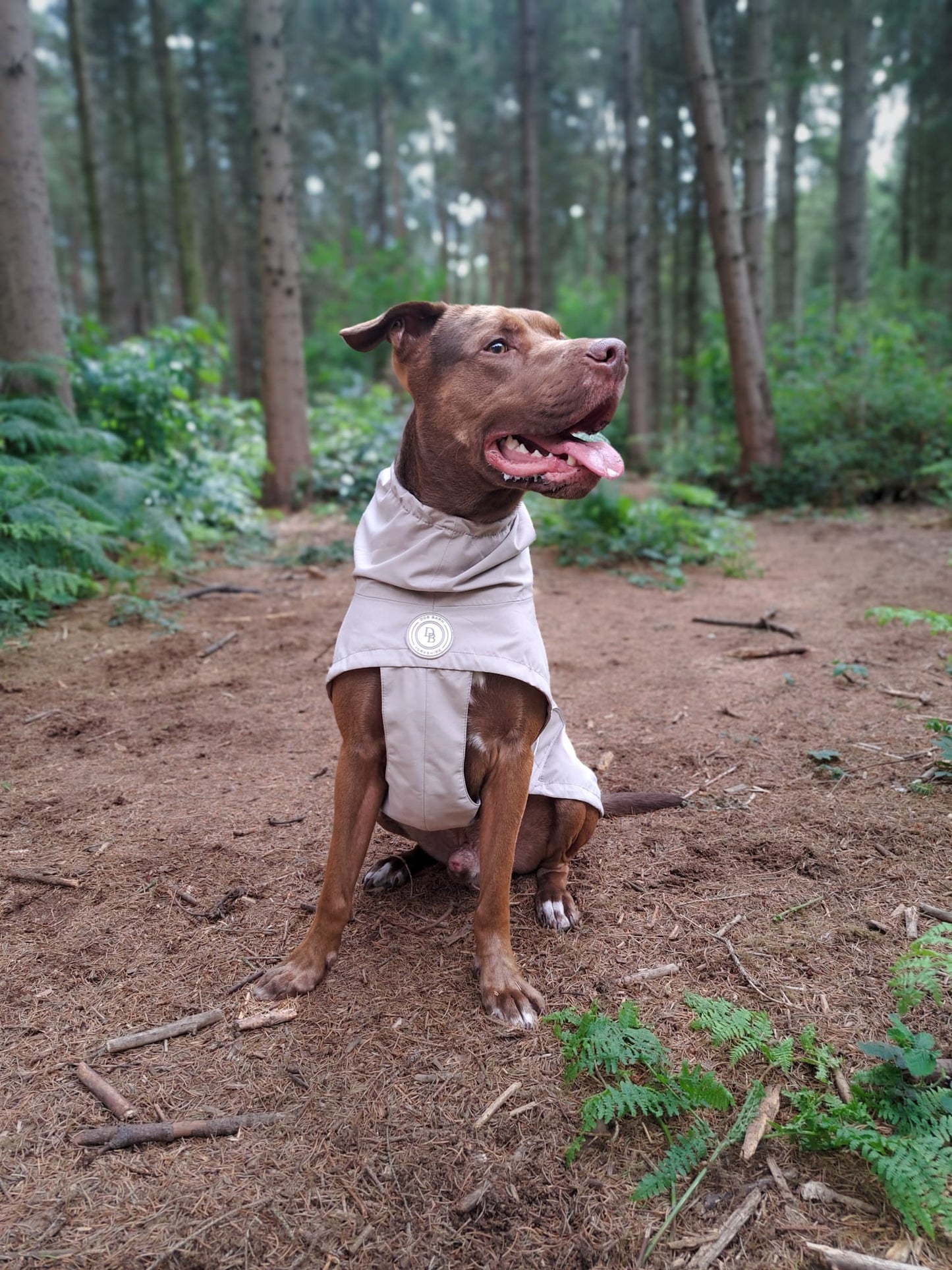 Truffle Dusk Rain Jacket