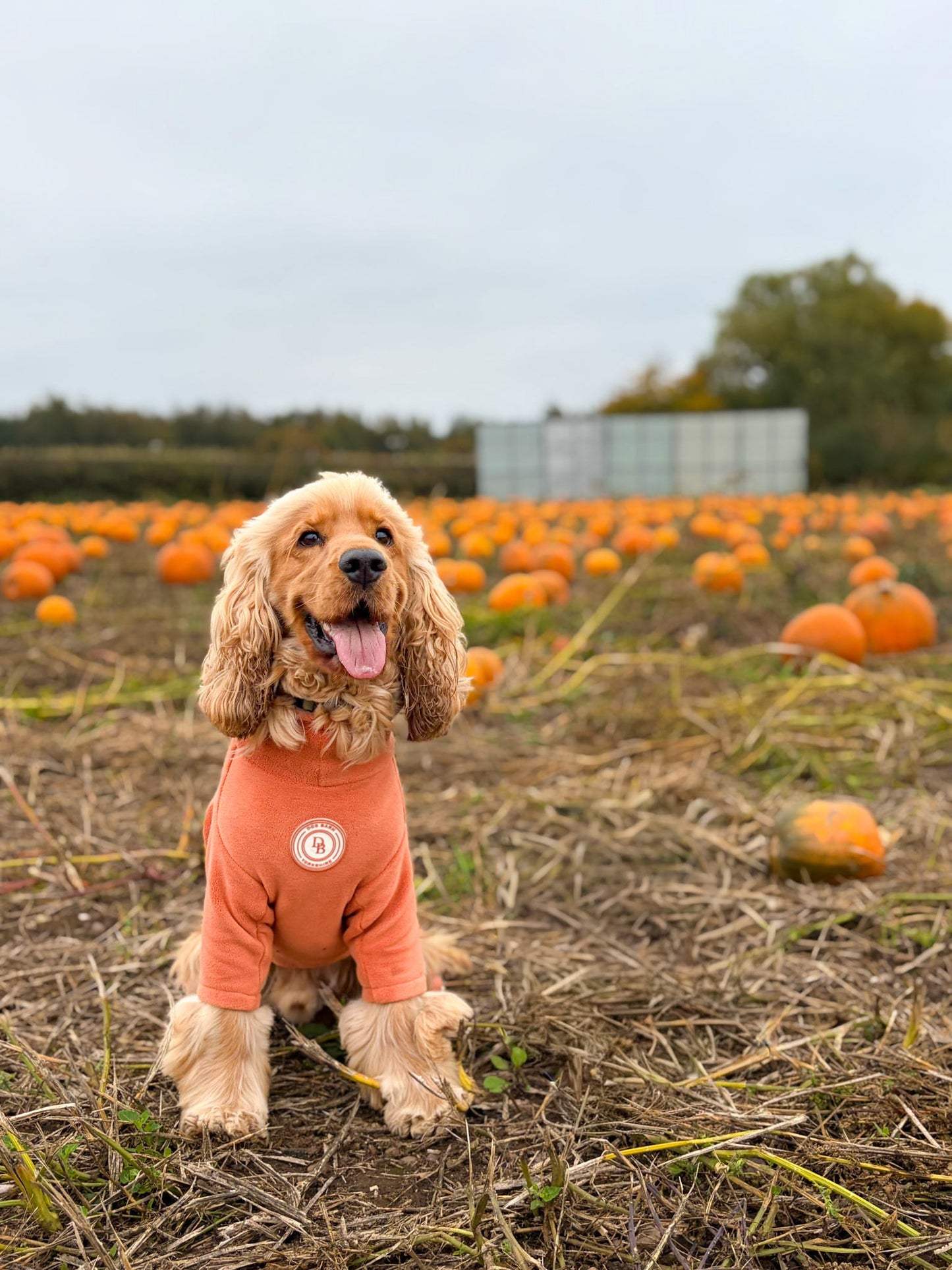 Pumpkin Spice Fleece Suit