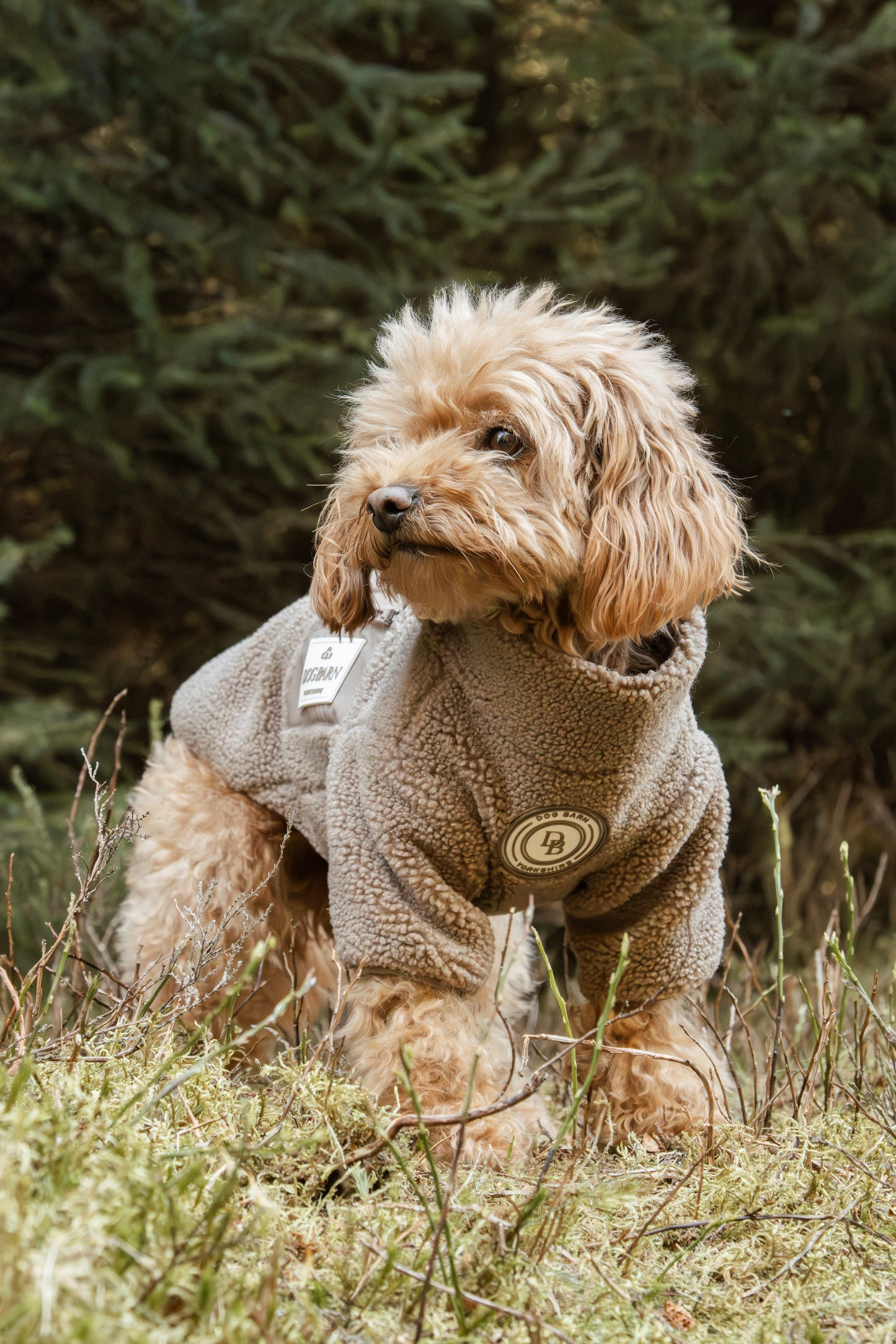 Truffle Dusk Sherpa Jacket