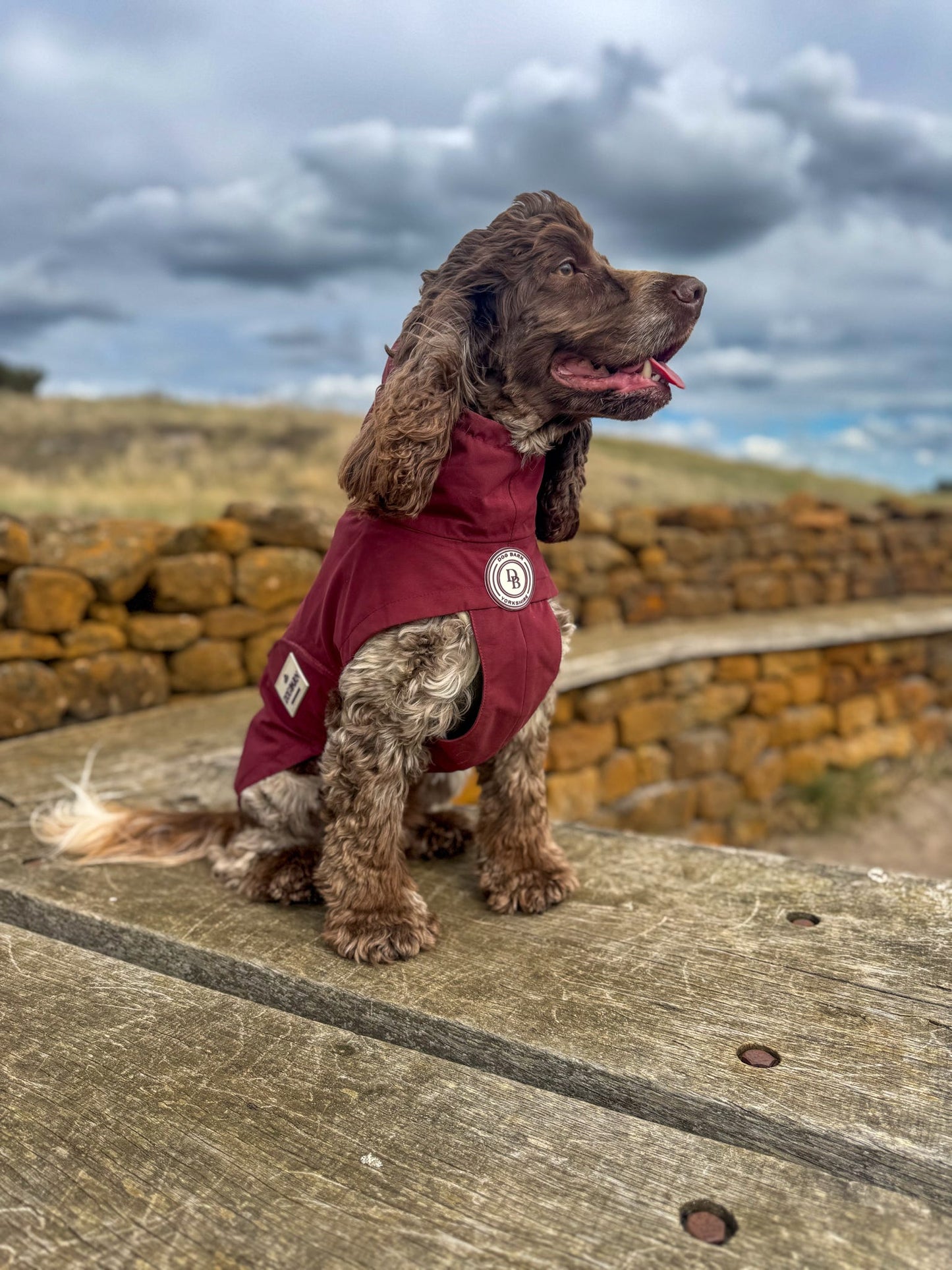 Berry Moors Rain Jacket