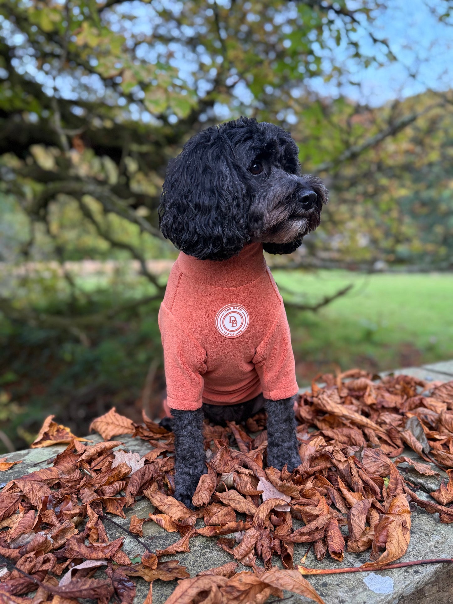 Pumpkin Spice Fleece Suit