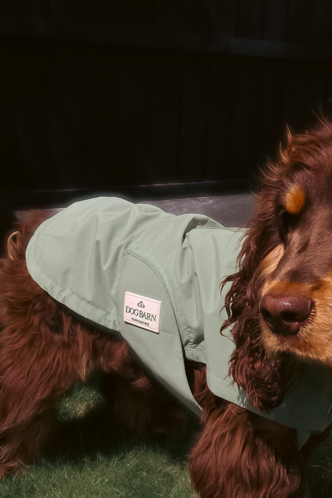 Sage Glade Rain Jacket