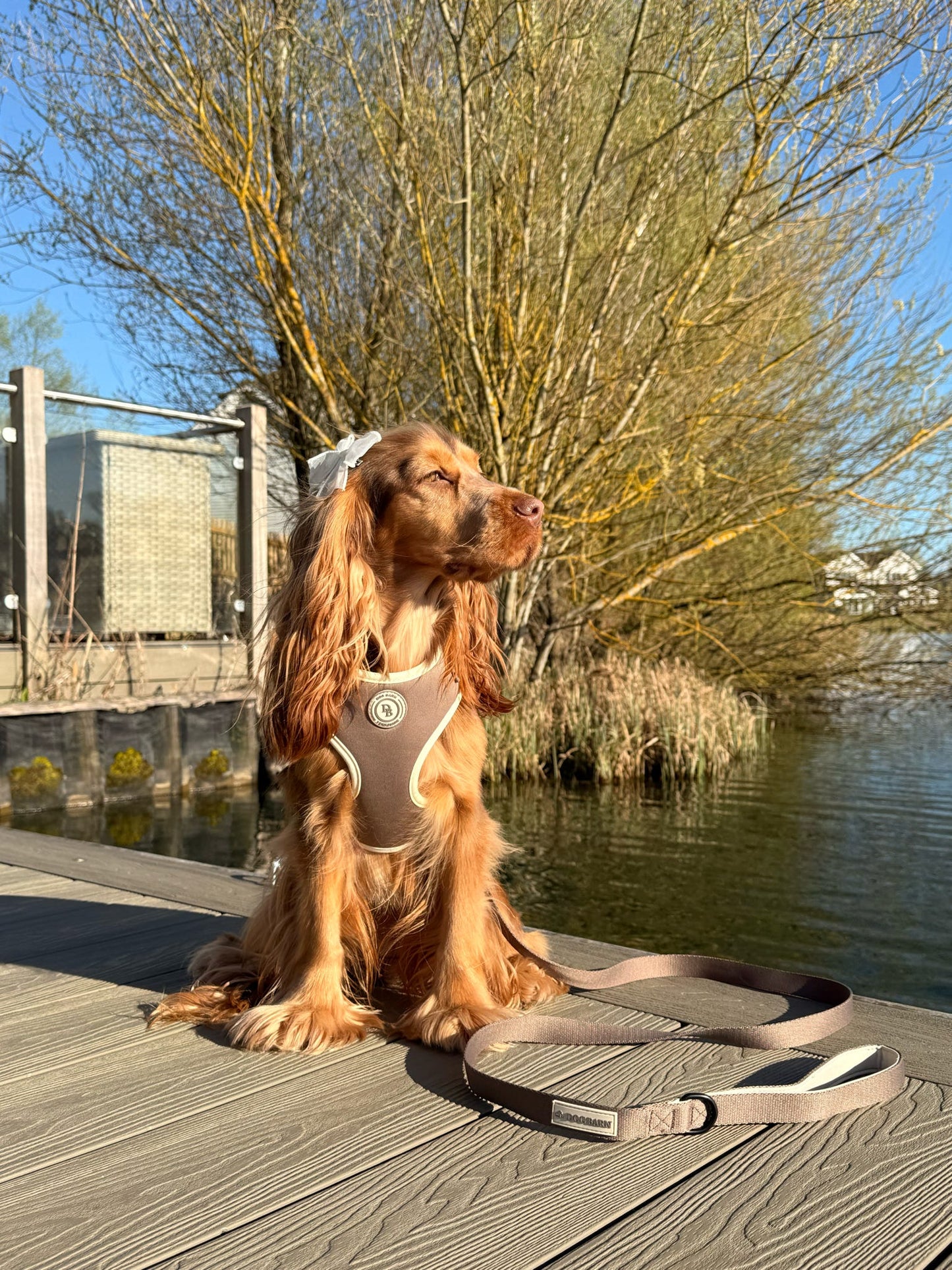 Chestnut Trail Harness