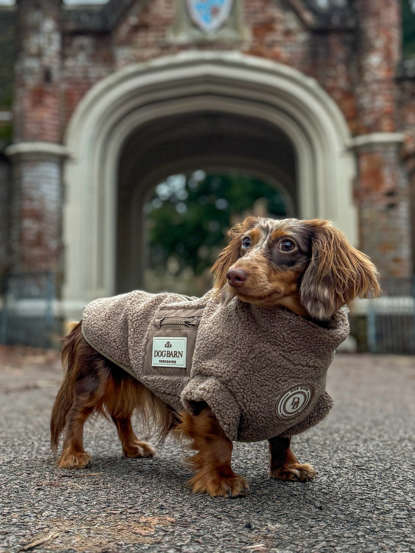 Truffle Dusk Dachshund Sherpa Fleece