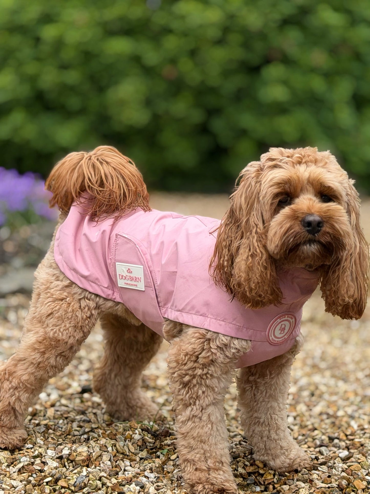 Blush Petal Rain Jacket
