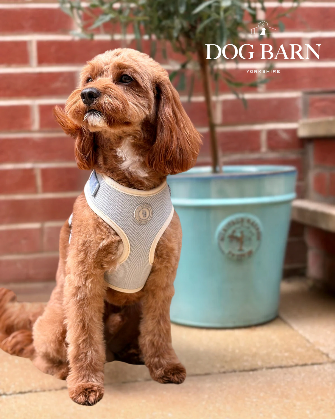 Duck Egg Vale Tweed Harness