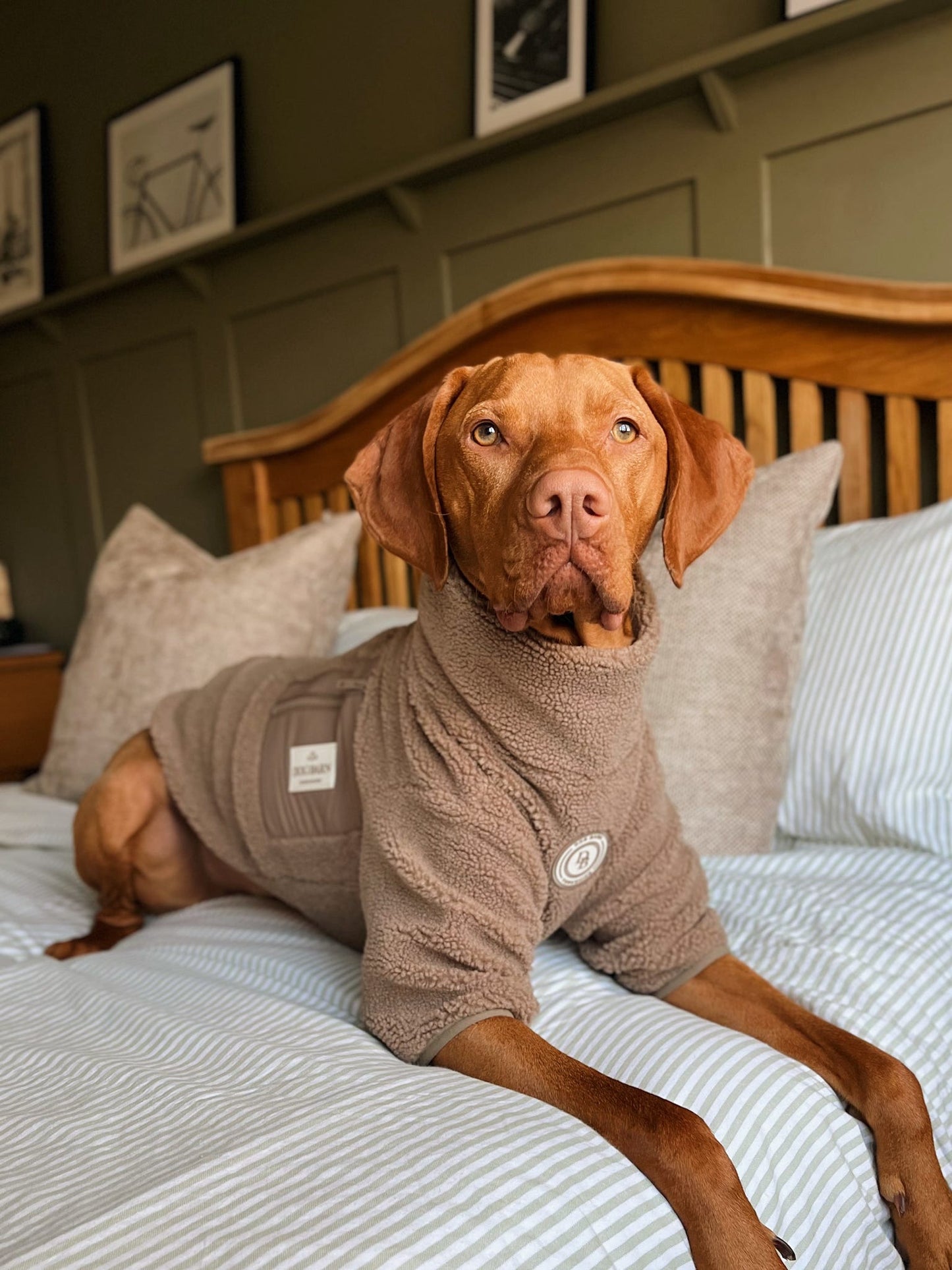Truffle Dusk Sherpa Jacket
