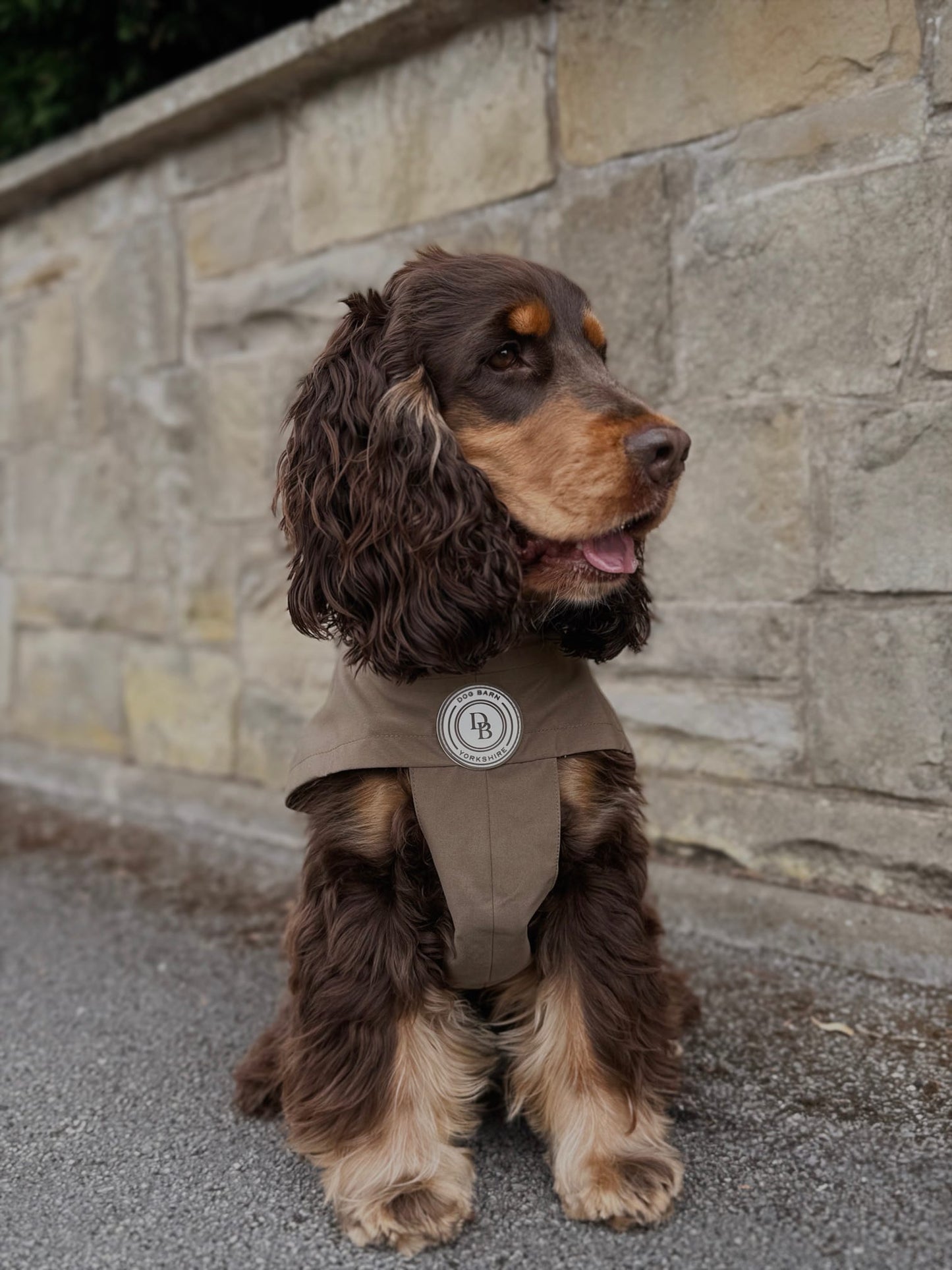 Chestnut Trail Rain Jacket