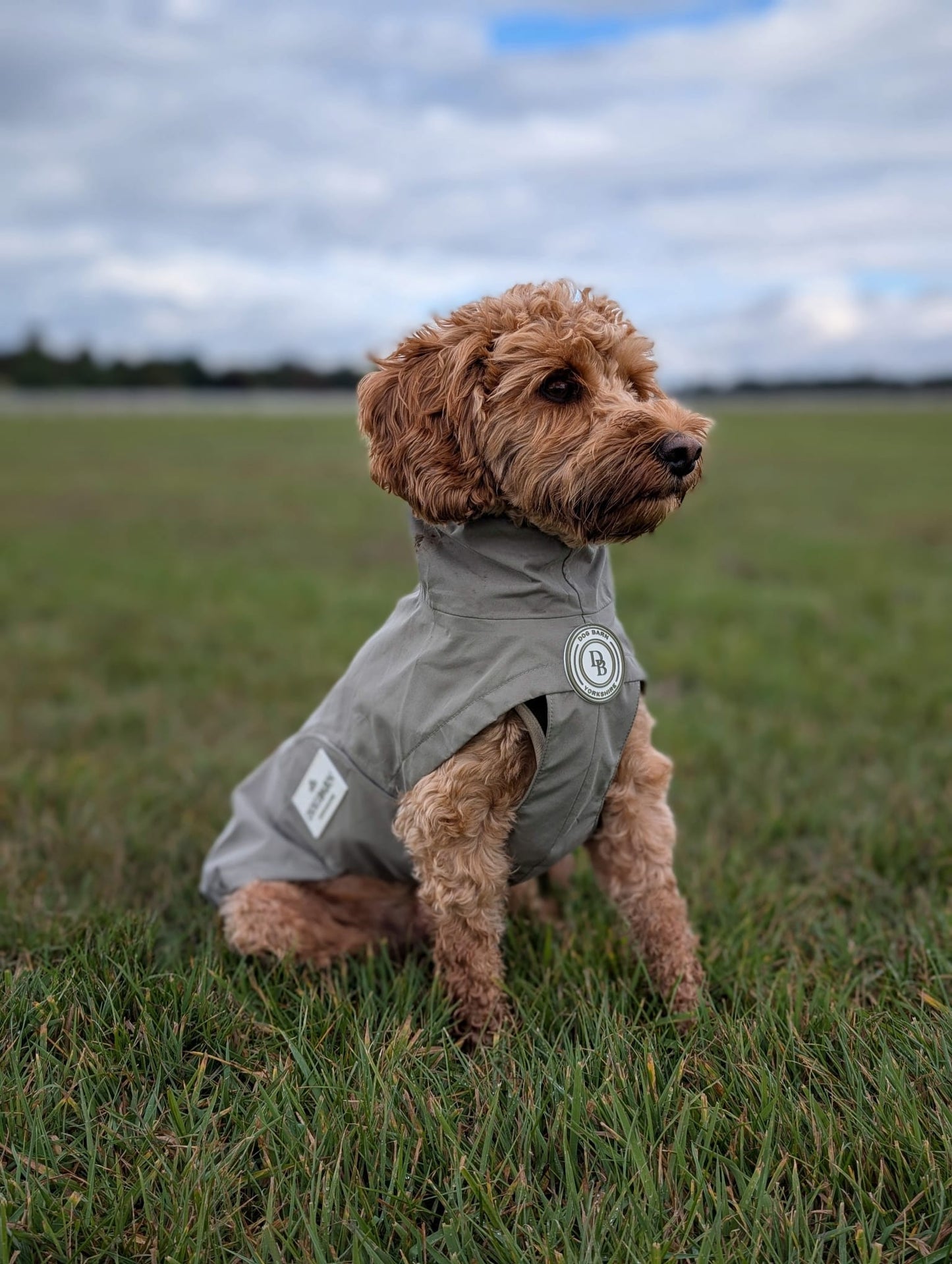 Forest Glade Rain Jacket