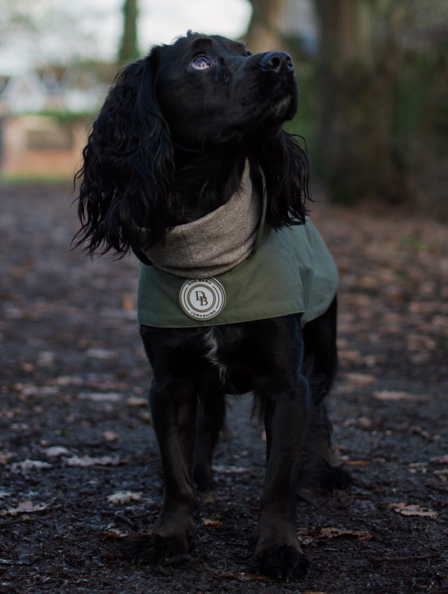 Forest Glade Winter Rain Jacket (Fleece Lined)