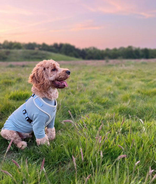 Duck Egg Vale Summer T Shirt