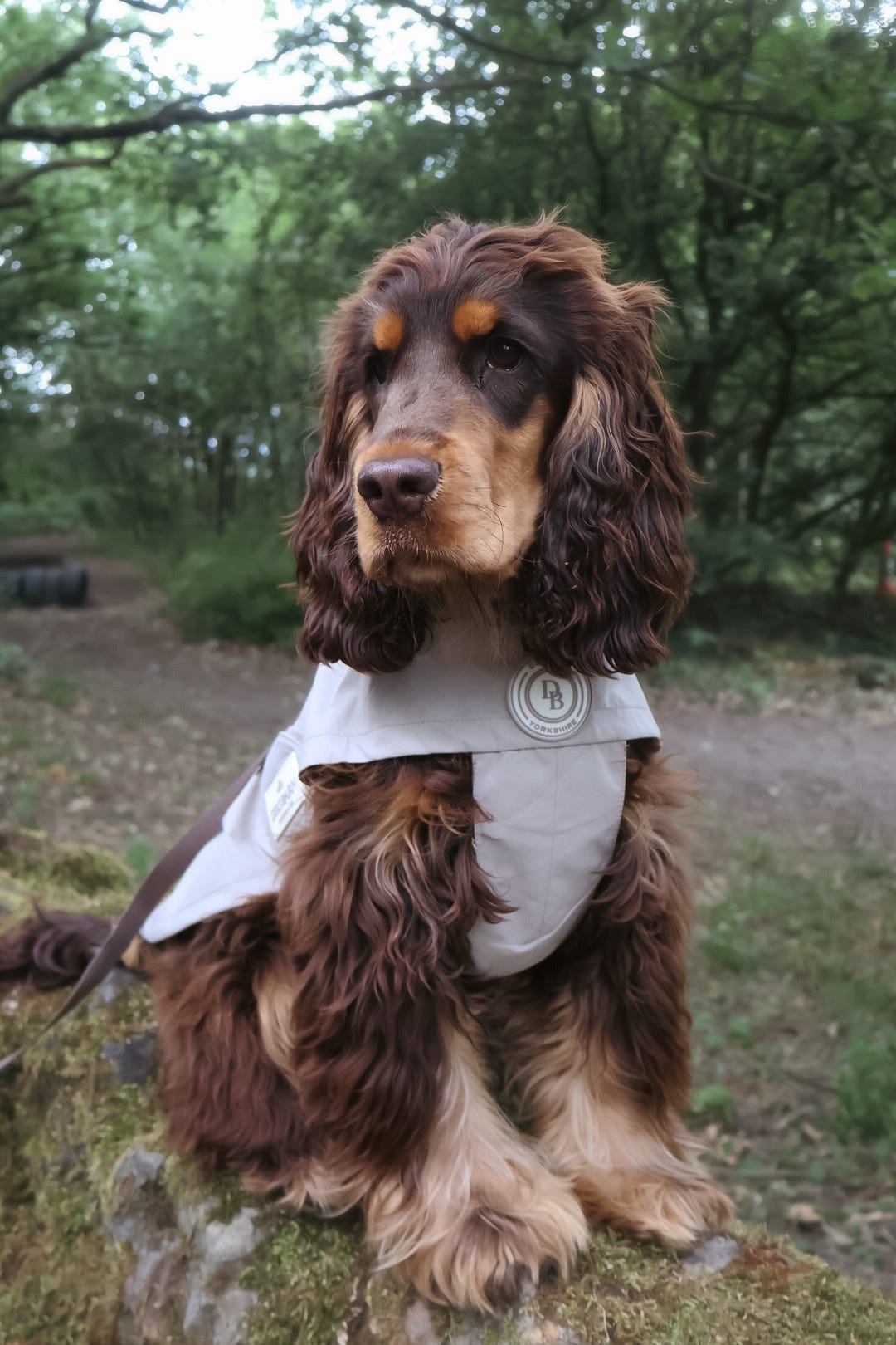 Truffle Dusk Rain Jacket