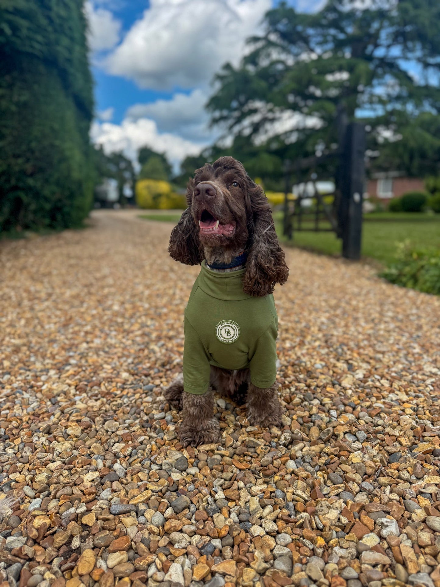 Forest Glade Summer T Shirt