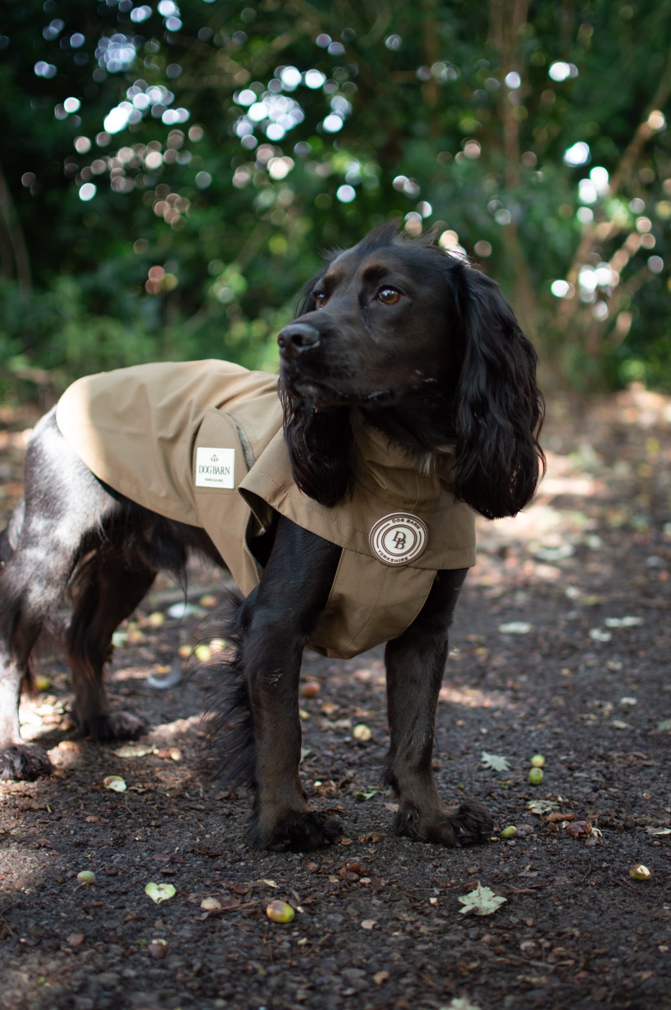 Chestnut Trail Rain Jacket