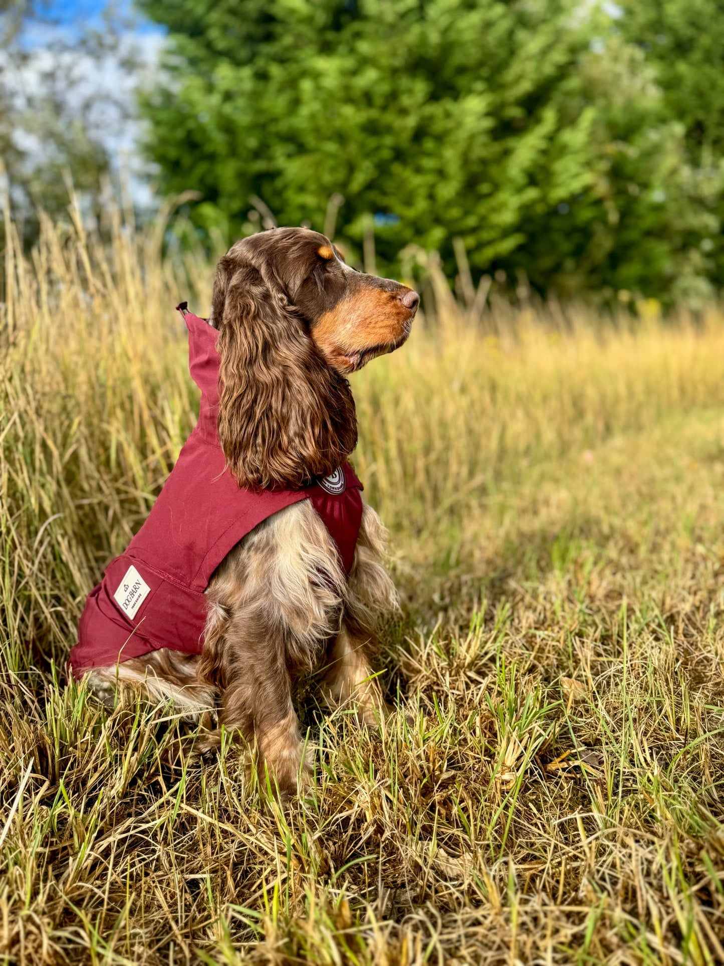 Berry Moors Rain Jacket