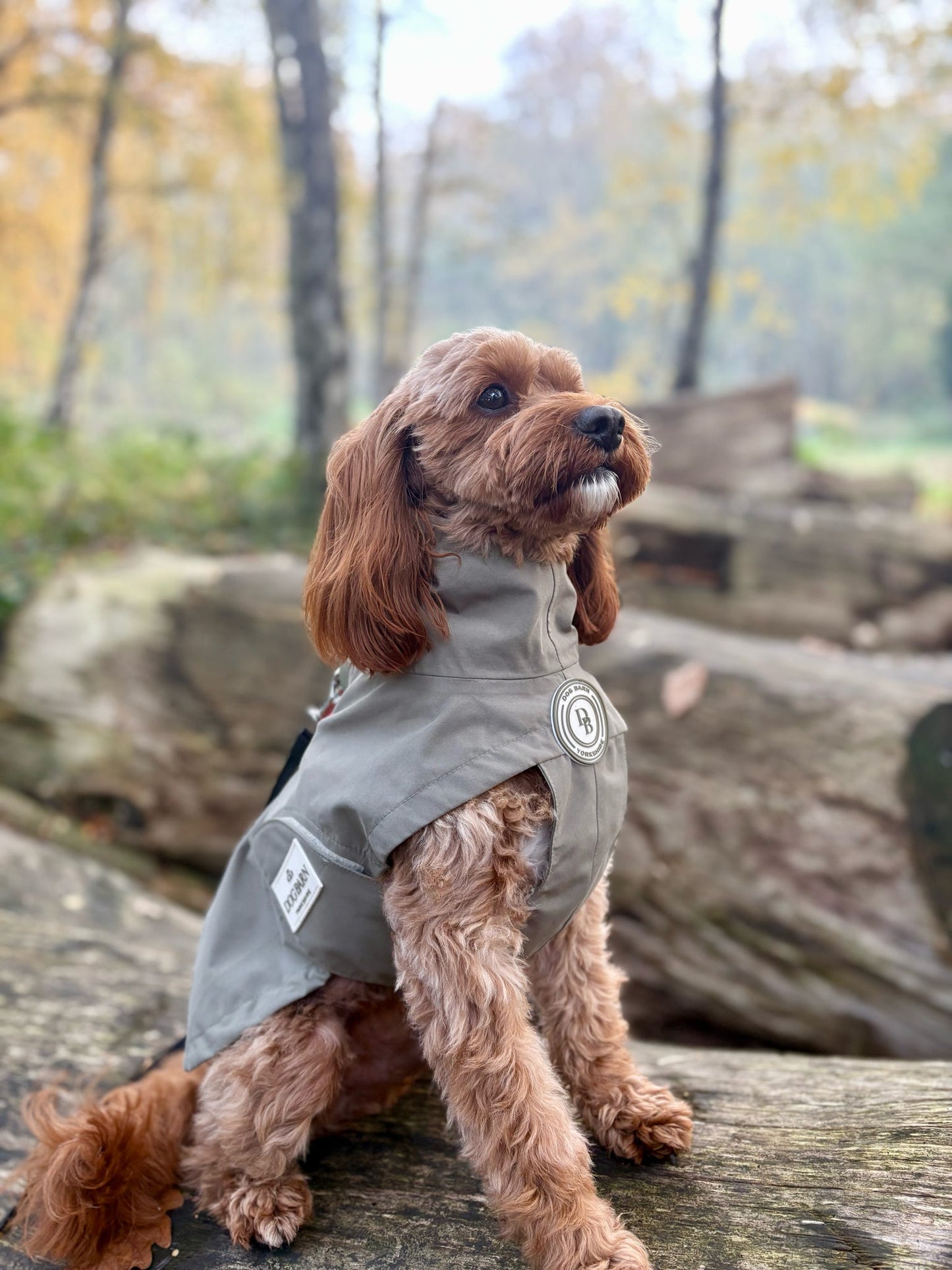 Forest Glade Rain Jacket