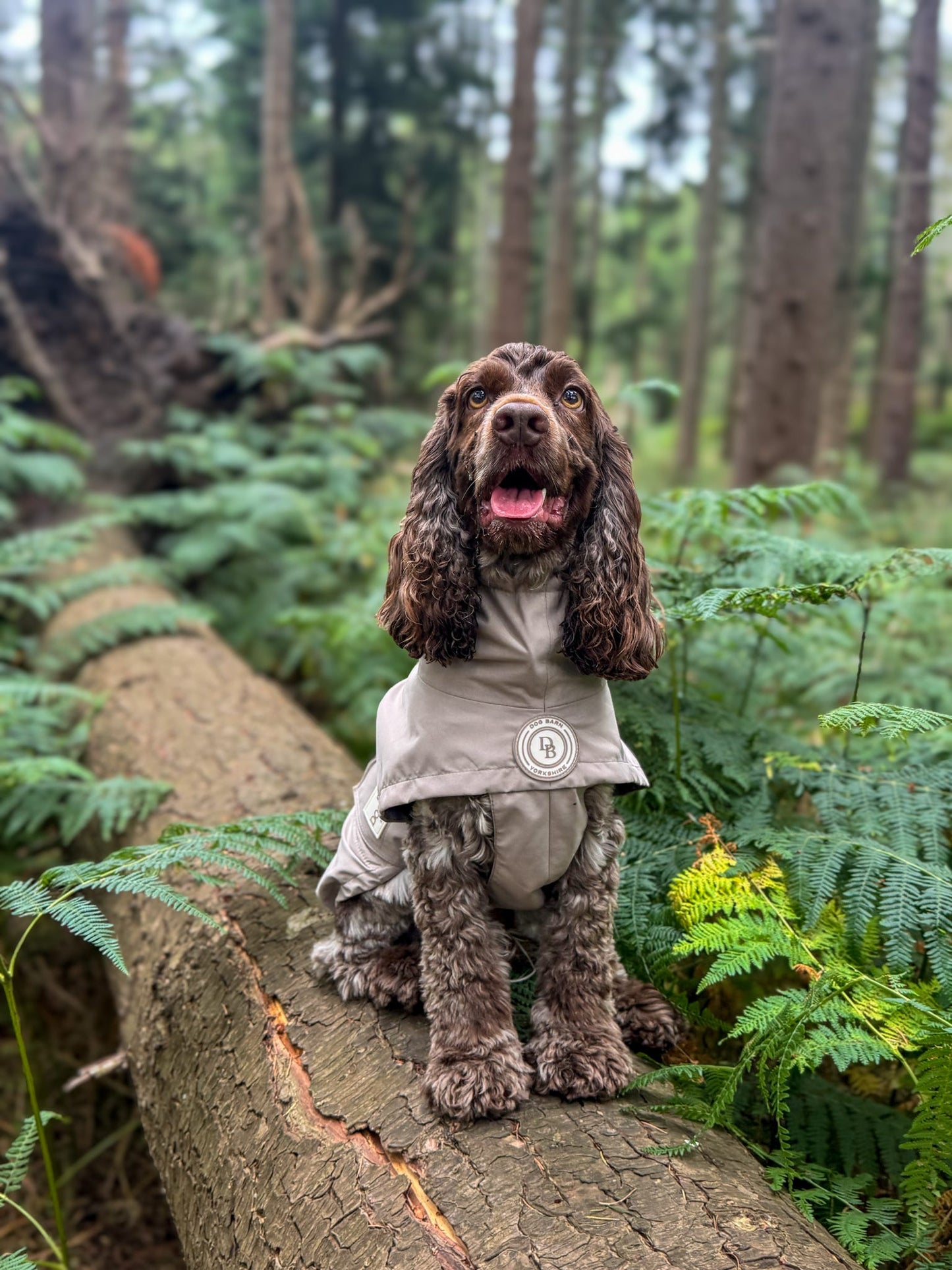 Truffle Dusk Rain Jacket