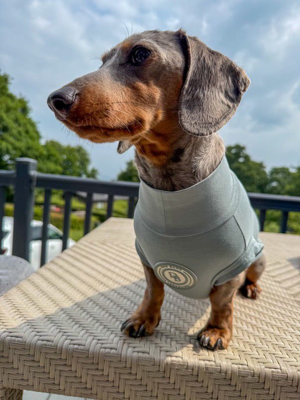 Dachshund Duck Egg Vale Summer T Shirt