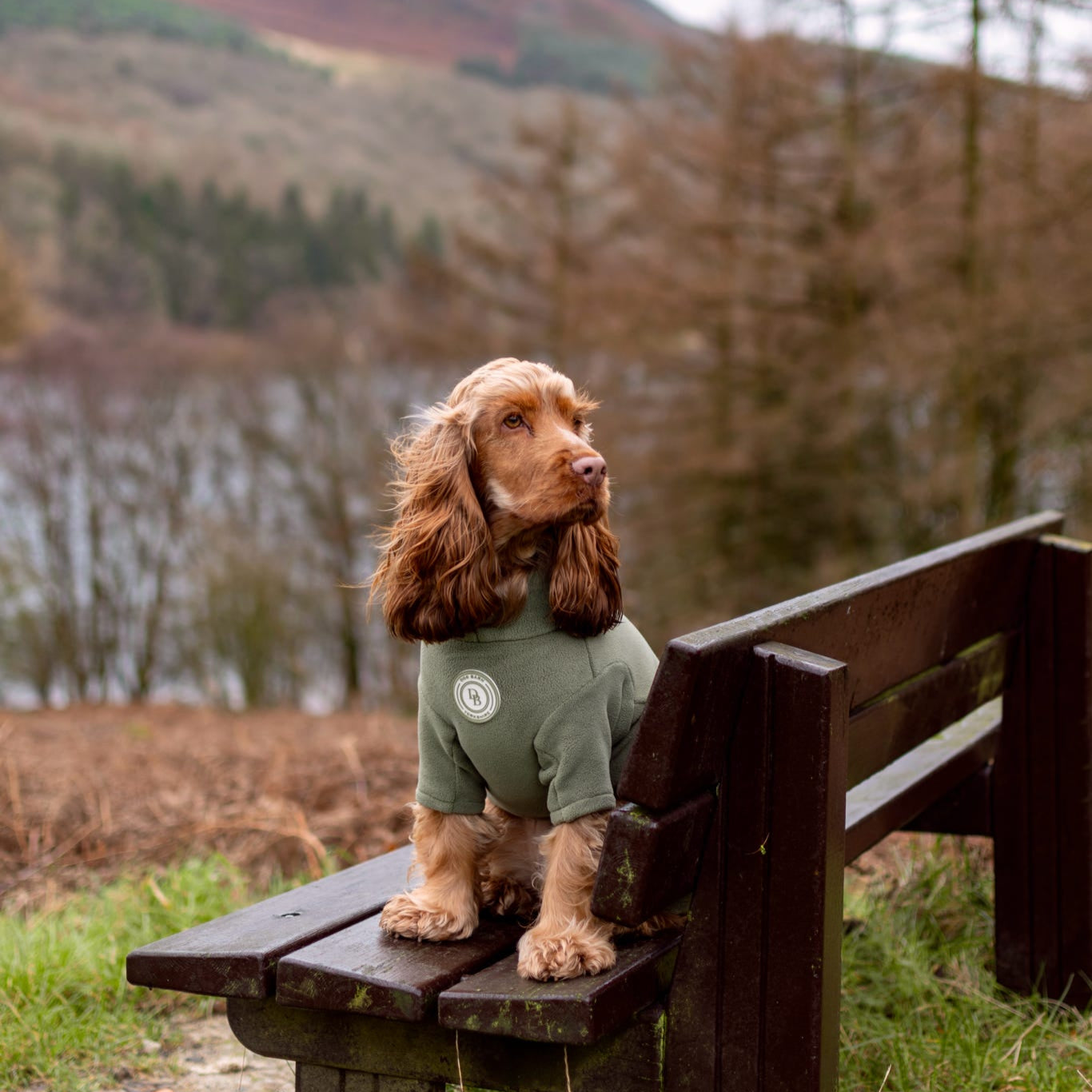Forrest Glade Fleece Suit