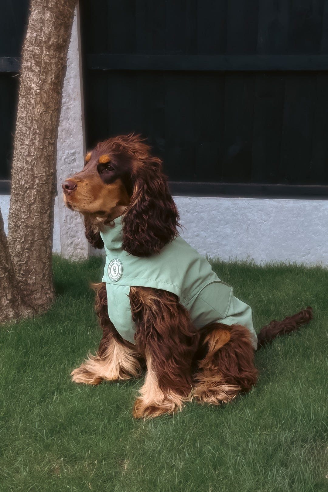 Sage Glade Rain Jacket