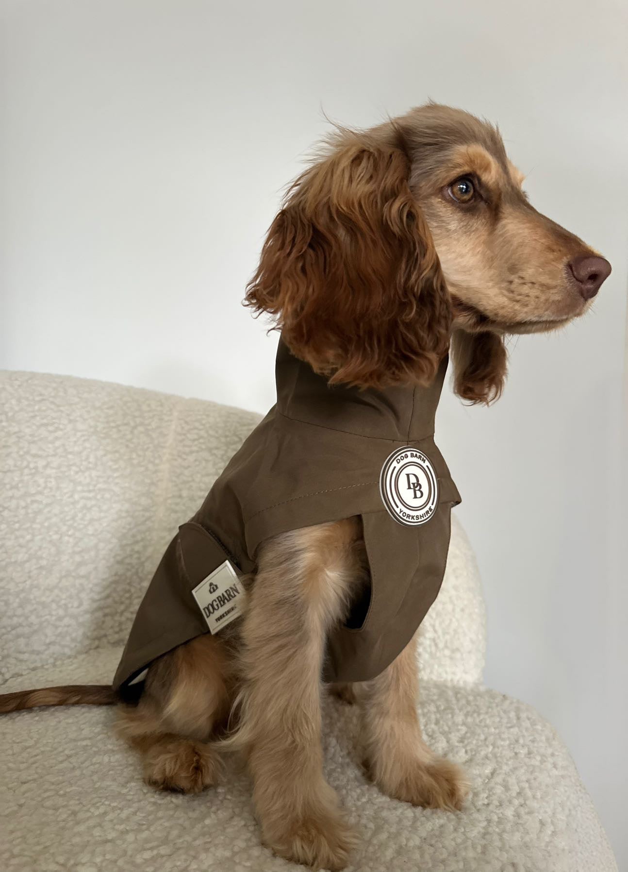 Chestnut Trail Rain Jacket