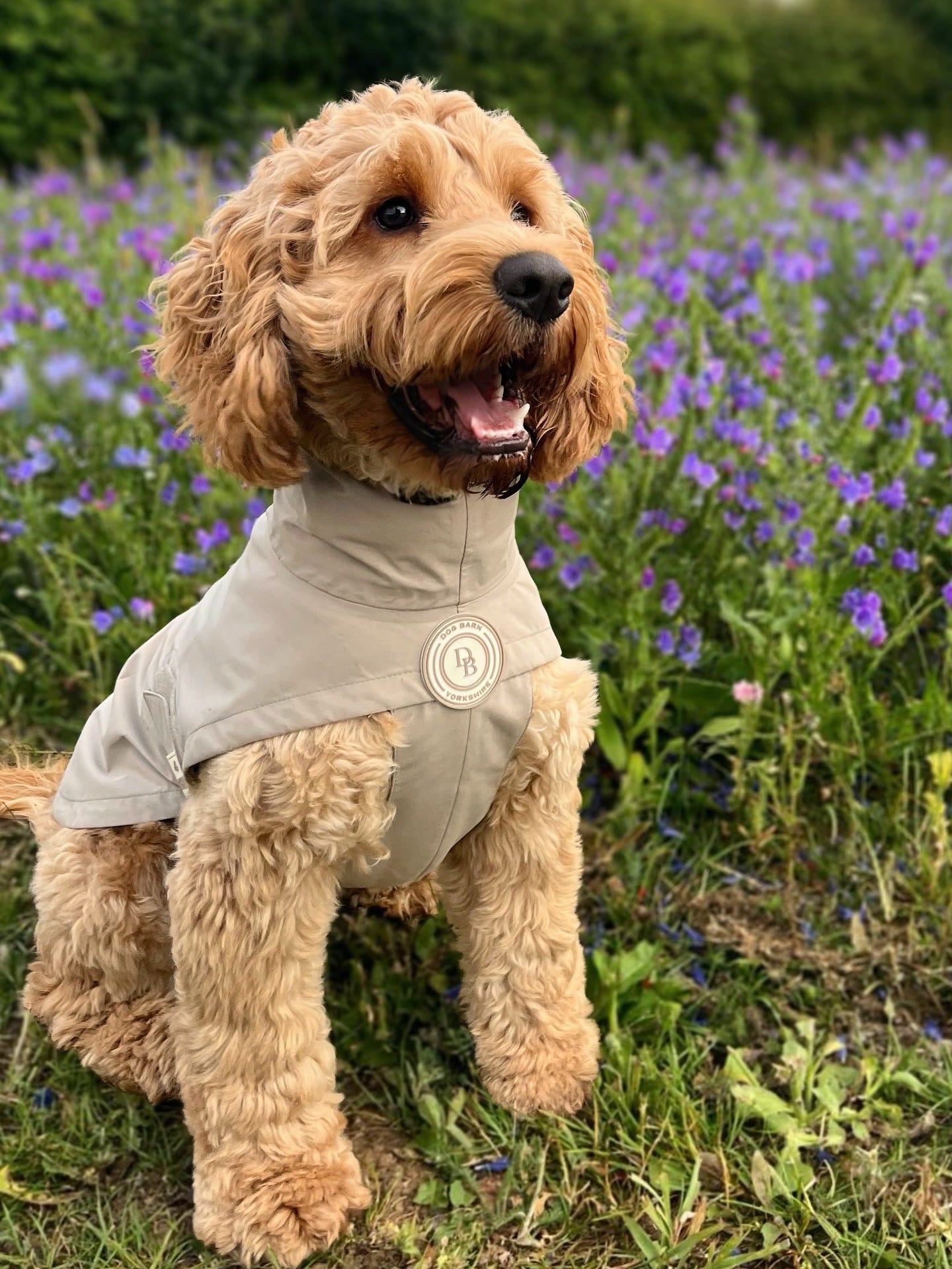 Truffle Dusk Rain Jacket