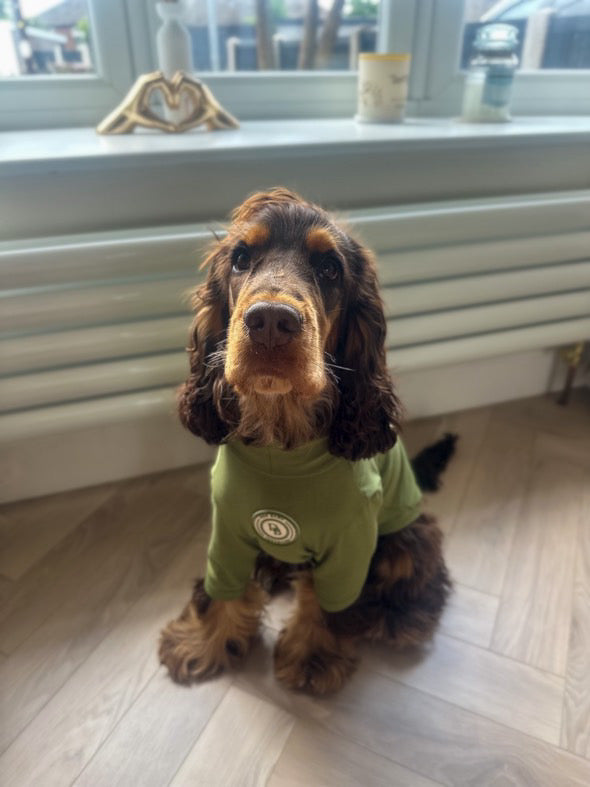 Forest Glade Summer T Shirt