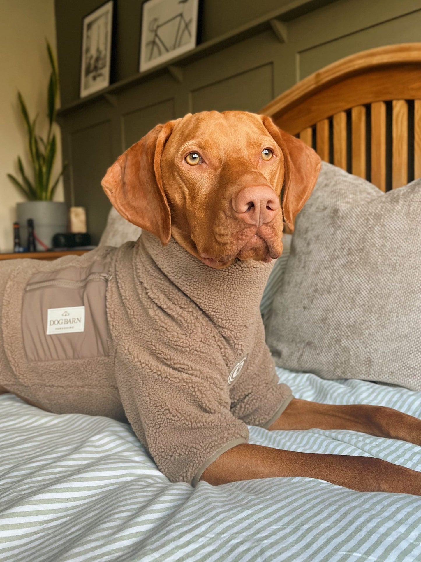 Truffle Dusk Sherpa Jacket