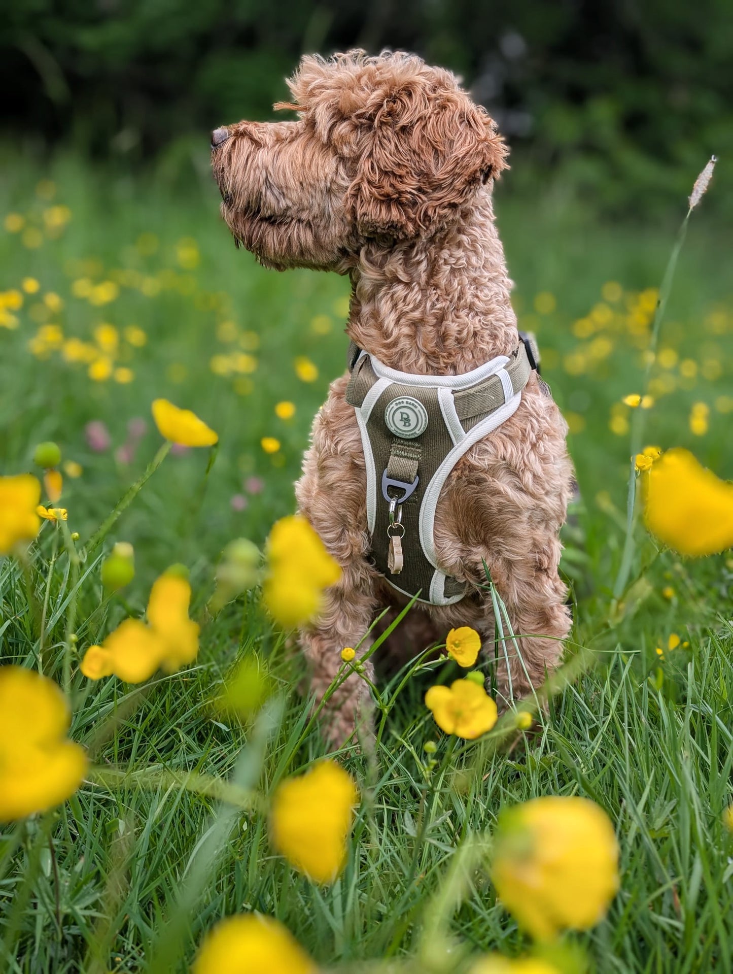 Forest Glade Adventurer Harness (Corded Material)