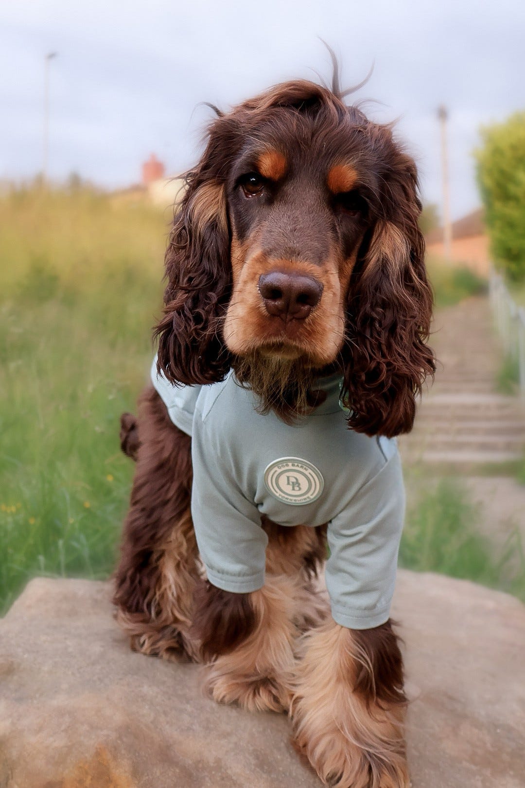 Duck Egg Vale Summer T Shirt