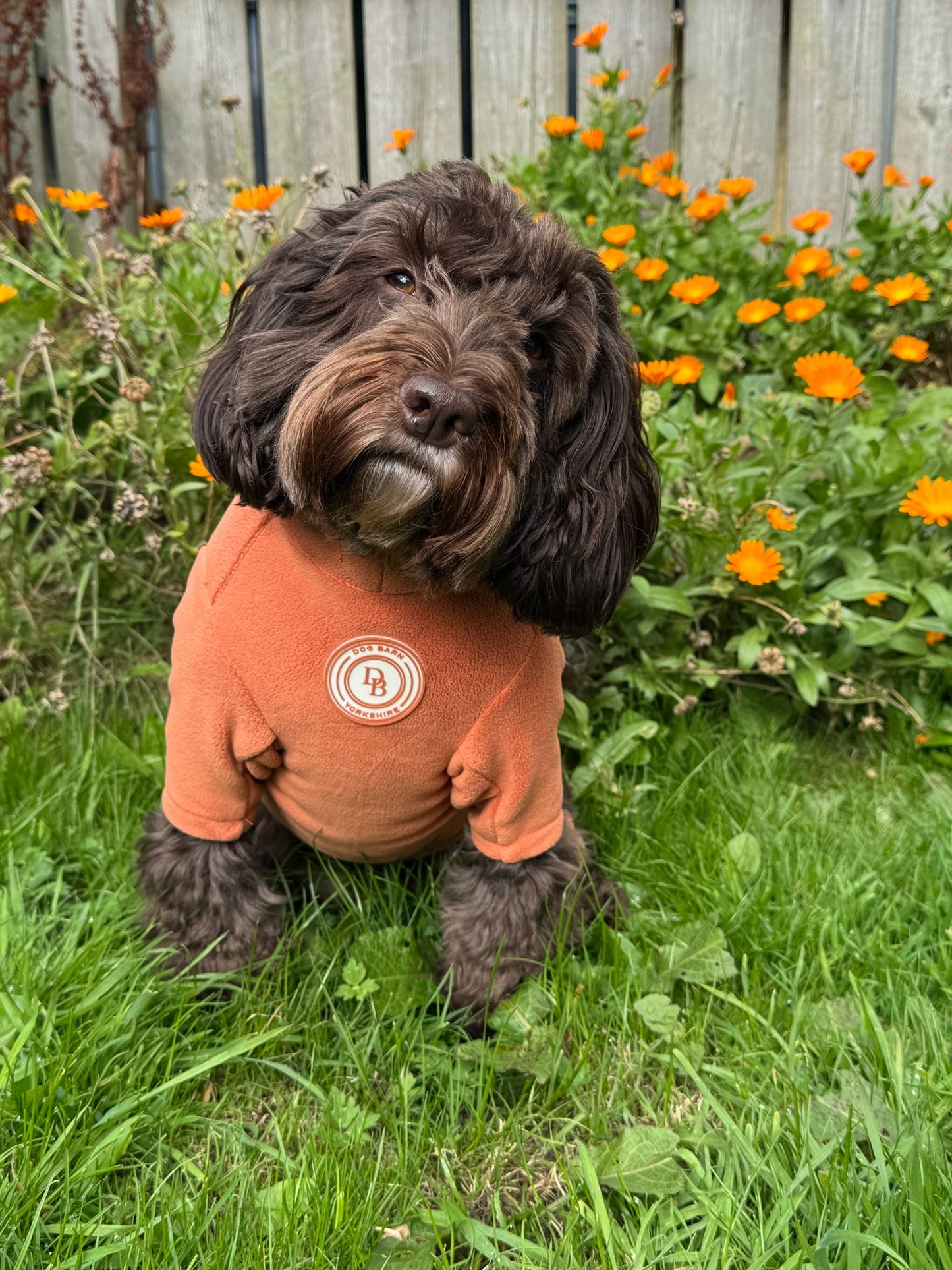 Pumpkin Spice Fleece Suit