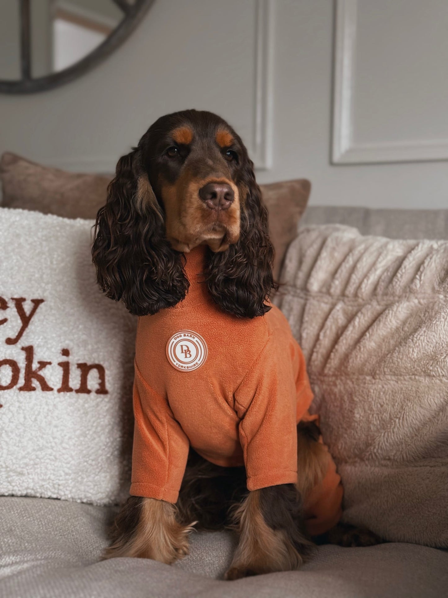 Pumpkin Spice Fleece Suit