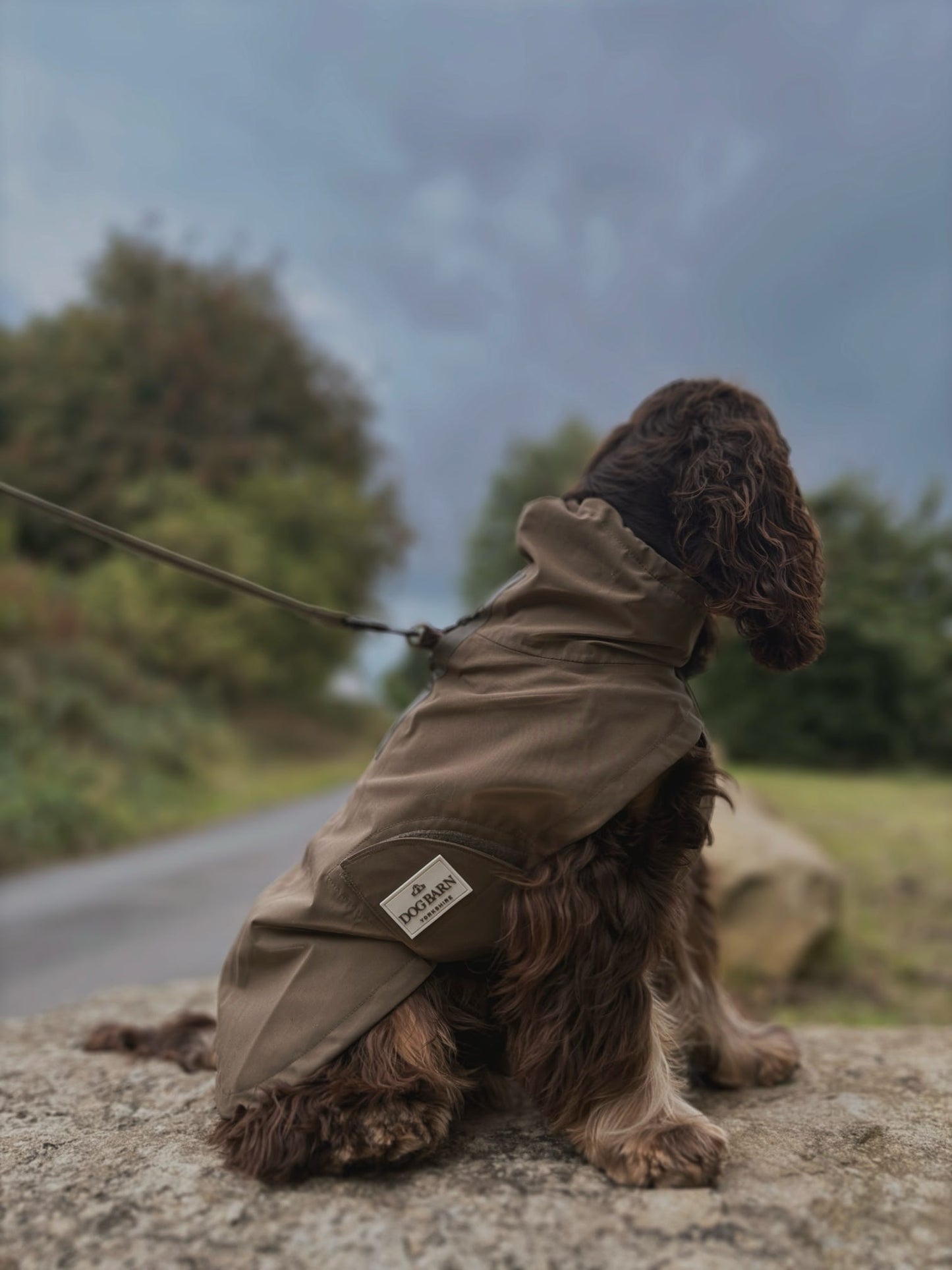 Chestnut Trail Rain Jacket
