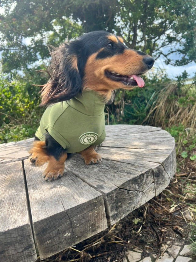 Dachshund Forest Glade Summer T Shirt