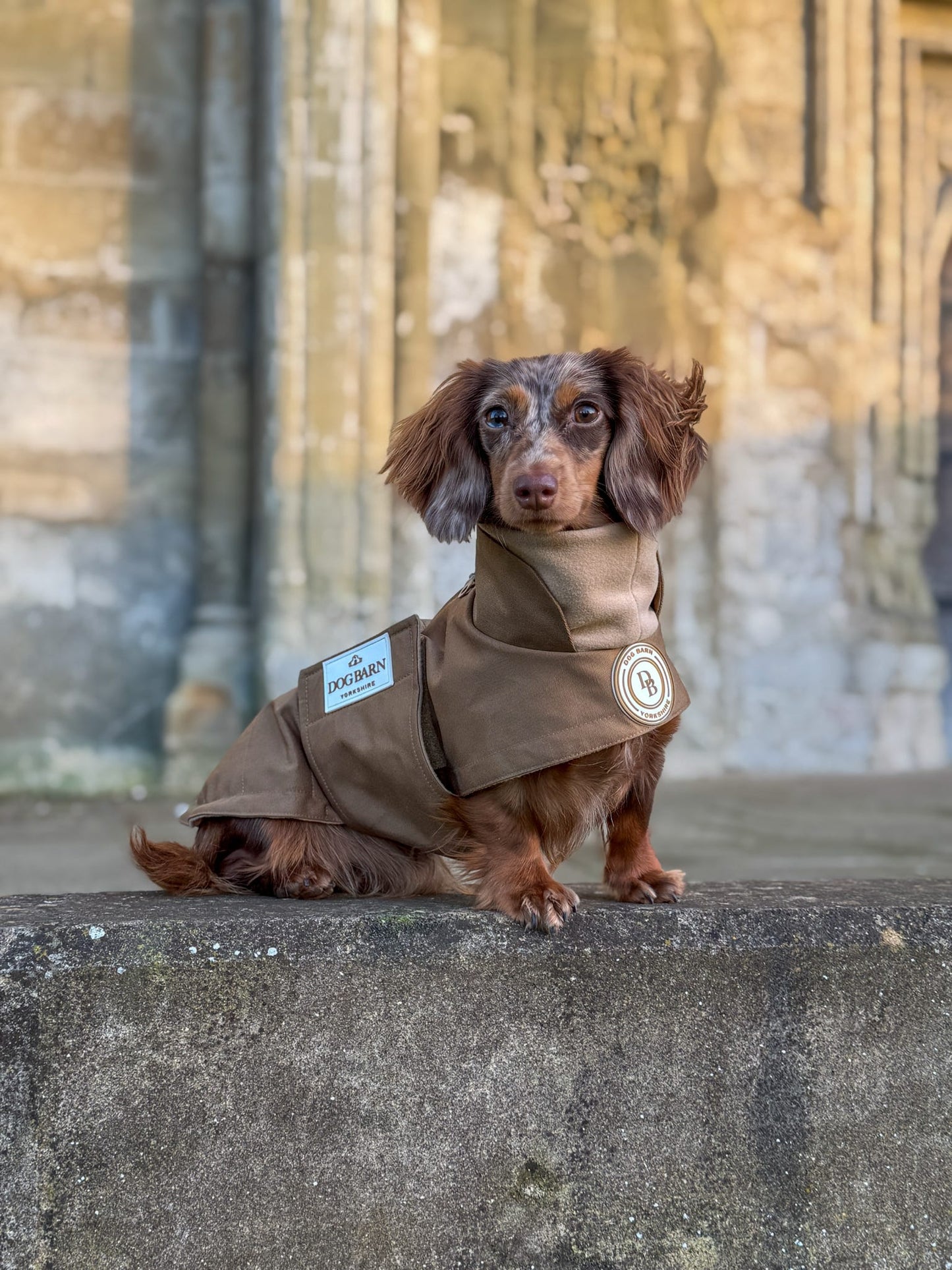 Dachshund Chestnut Trail Winter Rain Jacket (Fleece Lined)