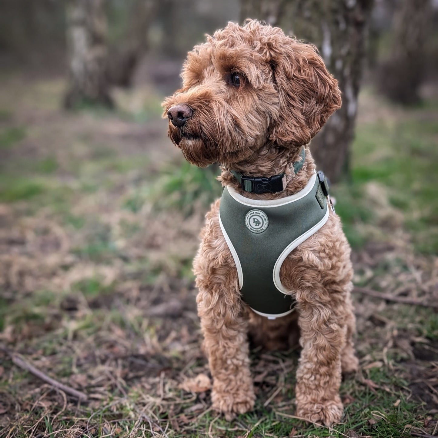 Forrest Glade Harness