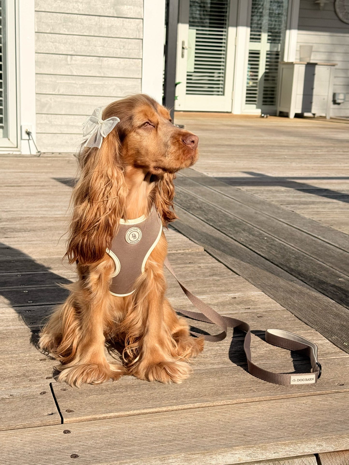 Chestnut Trail Harness